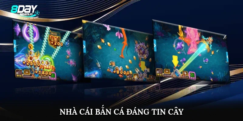 Nhà cái bắn cá đáng tin cây
