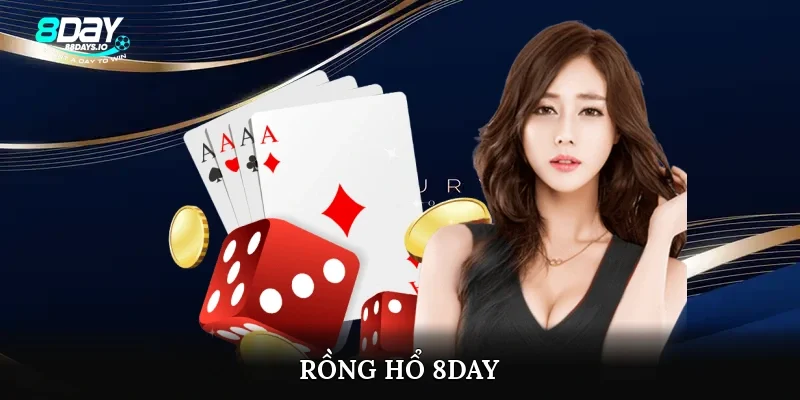 Rồng hổ 8day