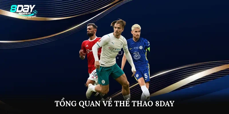 Tổng quan về thể thao 8day Tổng quan về thể thao 8day